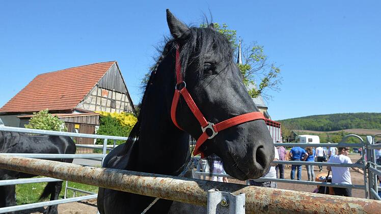 Foto: Ronald Rinklef