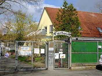 Tierheim Erlangen reagiert auf Vorwürfe - "will Hunde ja gar nicht vermitteln"