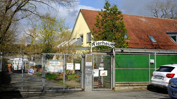 Tierheim Erlangen reagiert auf Vorwürfe - "will Hunde ja gar nicht vermitteln"