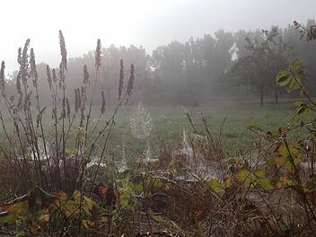 Userfoto: Ralf Baumann, Kulmbach