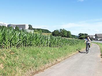 Der Geh- und Radweg zwischen Lichtenfels und Klinikum entlang der Staatsstraße 2203 wird vor allem von Besuchern und Mitarbeitern des Klinikums benutzt. Nun soll er wieder beleuchtet werden. Foto: Dominic Buckreus