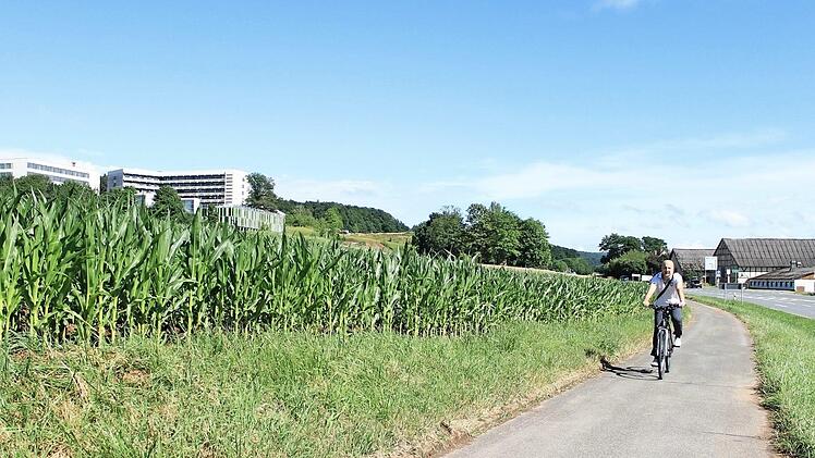 Der Geh- und Radweg zwischen Lichtenfels und Klinikum entlang der Staatsstraße 2203 wird vor allem von Besuchern und Mitarbeitern des Klinikums benutzt. Nun soll er wieder beleuchtet werden. Foto: Dominic Buckreus