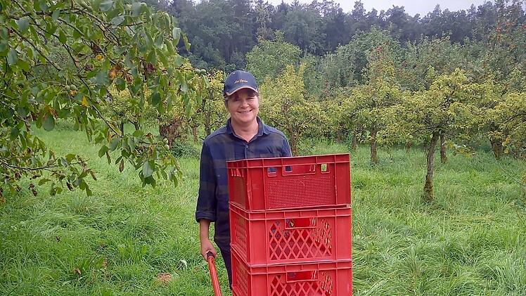 Erntehelfer in Fränkischer Schweiz willkommen: Einblick in Landwirtschaft
