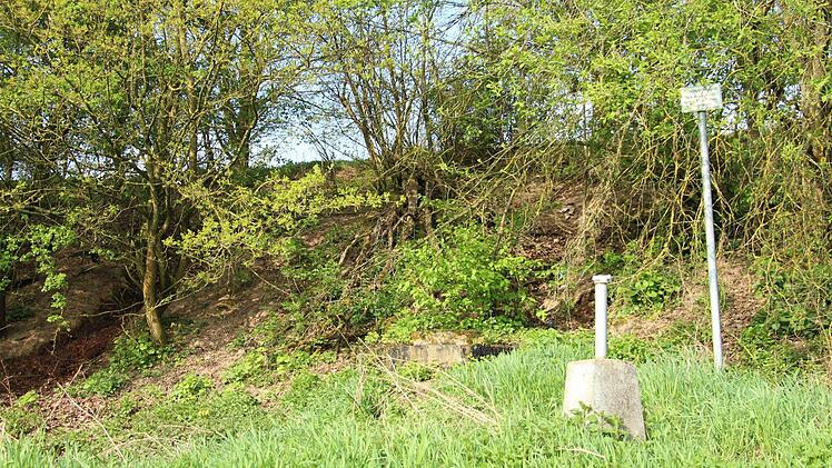 Jahrzehntealter Hausmüll quillt aus der Böschung der stillgelegten Deponie bei Lonnerstadt. Foto: Christian Bauriedel