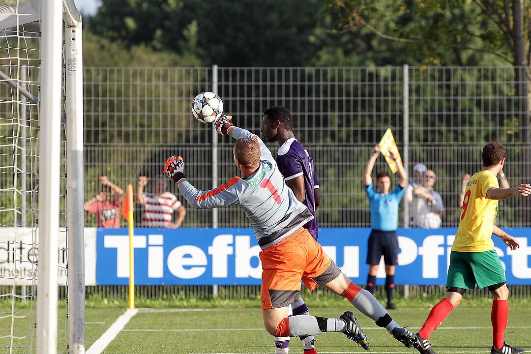 DJK Don Bosco gegen FC Eintracht Bamberg