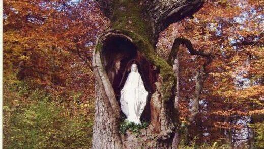 In den Stamm einer Eiche bei Langendorf wurde eine Madonna zum Gedenken an eine Verstorbene hinein gestellt.  Foto: David Monette
