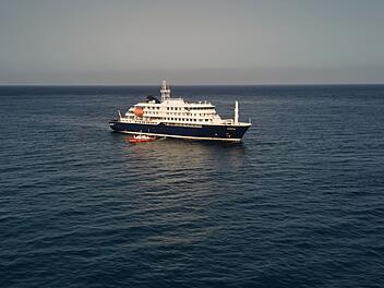 Drei Tote nach Hantavirus-Ausbruch auf Kreuzfahrtschiff