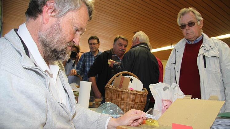 Friedhelm Haun hat seine Apfelkern-Datei dabei - mehr als 400 verschiedene Apfelsorten hat er in dem Karteikasten sortiert. Die Kerne geben bei Unsicherheiten oft den letzten Hinweis.