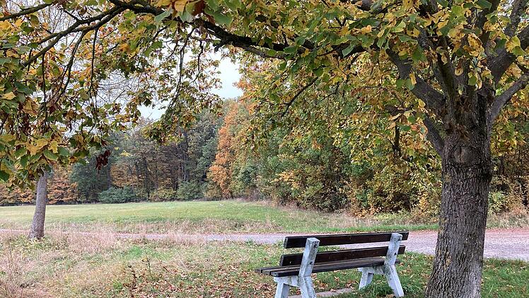 Herbstidylle am beliebten Spazierweg zwischen Langenlohe und Höllerlein, nächstes Jahr mit Blick auf einen 40-Meter-Mast? Foto: Stefanie Warmerdam