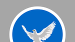 Ein Symbol: die Friedenstaube