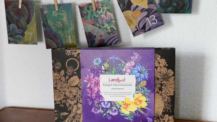 Jeden Tag eine florale Inspiration: Der Adventskalender „Cool Flowers“ begeistert mit liebevoll gestalteten Motiven und bringt frischen Blumenzauber in die Vorweihnachtszeit.