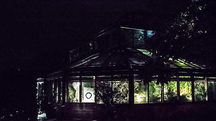 Impressionen der Coburger Museumsnacht: PAlmenhausFoto: Jochen Berger