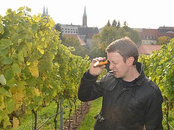 Martin Bauerschmitt ist zufrieden mit dem Jahrgang 2012.  Der Silvaner könnte sogar noch eine Spätlese werden.   Fotos: Ronald Rinklef
