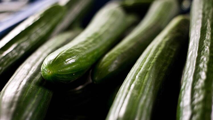 Symbolfoto: dpa