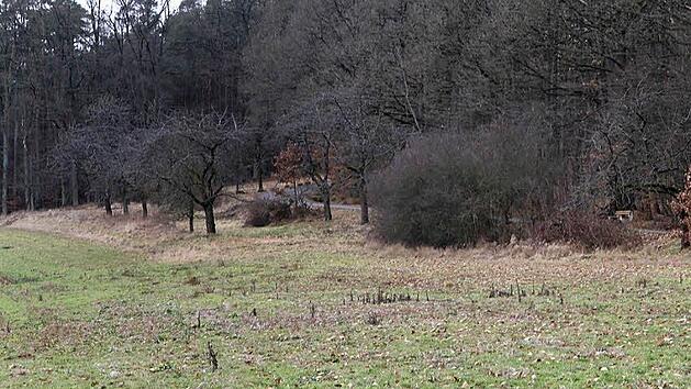 Auf dieser Fl&auml;che unterhalb des Weges auf der s&uuml;dlichen Hallerndorfer Kreuzbergseite sollen 147 Autoparkpl&auml;tze entstehen.  Foto: Mathias Erlwein