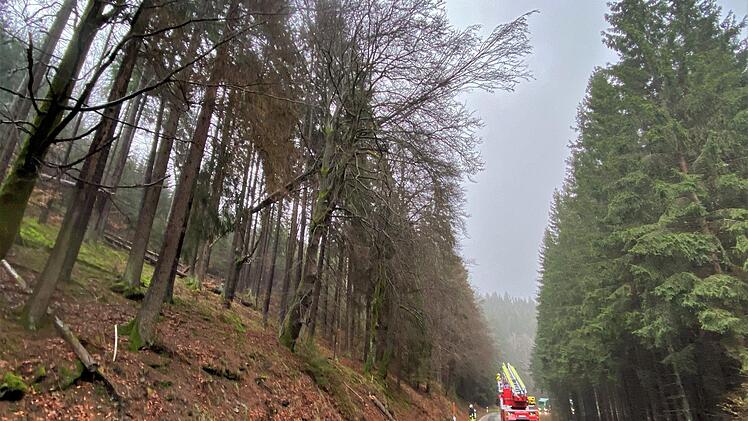 Sattelgrund: Eine Buche droht, auf die Straße zu stürzen.  Foto: FFW Tettau