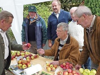 Der ehemalige Kreisvorsitzende Ernst Knobloch steht am Sonntag für die Sortenbestimmung der Äpfel wieder zur Verfügung. Foto: Gerd Fleischmann