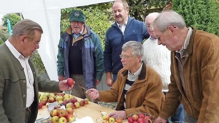 Der ehemalige Kreisvorsitzende Ernst Knobloch steht am Sonntag für die Sortenbestimmung der Äpfel wieder zur Verfügung. Foto: Gerd Fleischmann