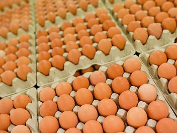 Friponil im Ei oder Kot im Brot: In erschreckender Regelm&auml;&szlig;igkeit erhitzen solche Ekel-Funde in Lebensmitteln die Gem&uuml;ter. In Bayern startet nun eine neue Spezialbeh&ouml;rde, die Gro&szlig;betreiben auf die Finger schauen soll. Archivfoto: Julian Stratenschulte, dpa