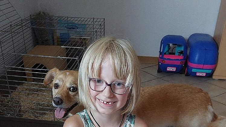 Albertshausen: Angelina (7) wird geliebtes Haustier gestohlen - M&auml;dchen "fix und fertig"