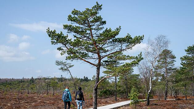 Schwarzes Moor in der Rh&ouml;n