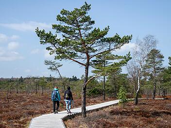Schwarzes Moor in der Rh&ouml;n