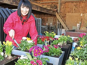 Hermanita Espig hat 13 Blumenkästen mit Frühlingsblühern bepflanzt. Die Mitarbeiter des Bauhofs verteilen sie jetzt in der Stadtsteinacher Innenstadt. Foto: Sonja Adam