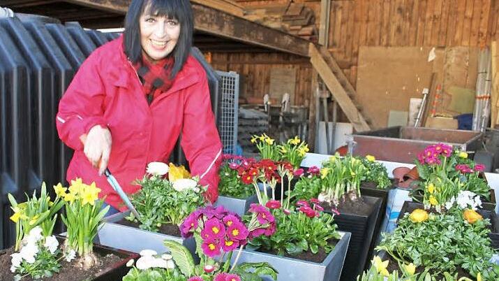 Hermanita Espig hat 13 Blumenkästen mit Frühlingsblühern bepflanzt. Die Mitarbeiter des Bauhofs verteilen sie jetzt in der Stadtsteinacher Innenstadt. Foto: Sonja Adam