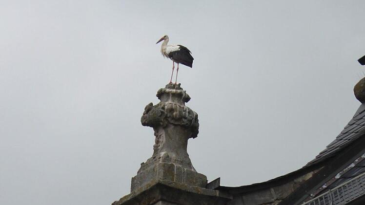 Foto: Heinrich Kattenbeck