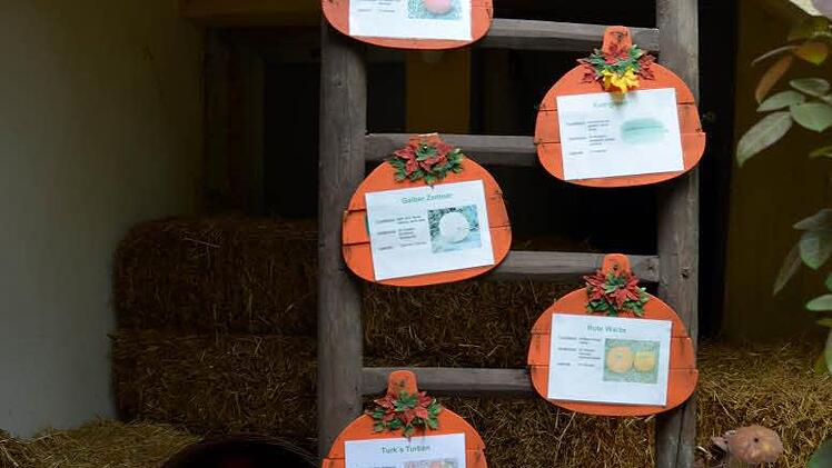 Eindrücke vom Kürbisfest in Altendorf. Foto: Andrea Spörlein
