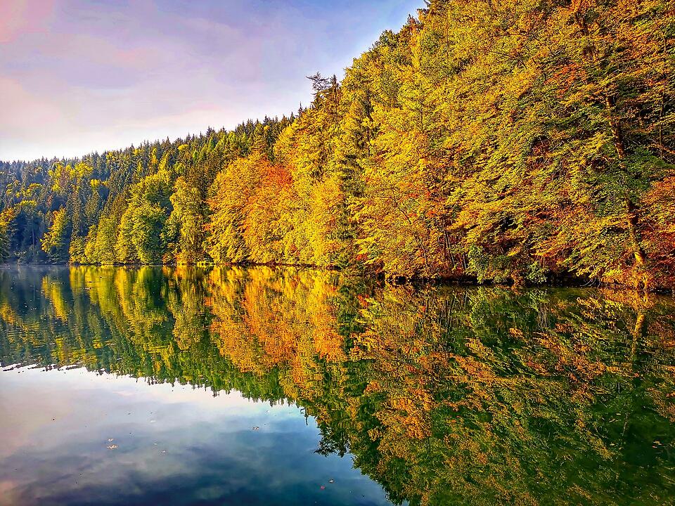 Die schönsten Herbstfotos aus Bayreuth und Umgebung