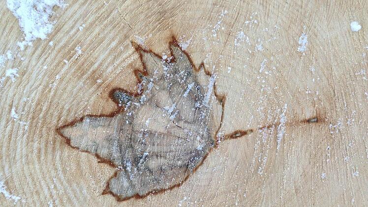 Foto: Carmen Schwind