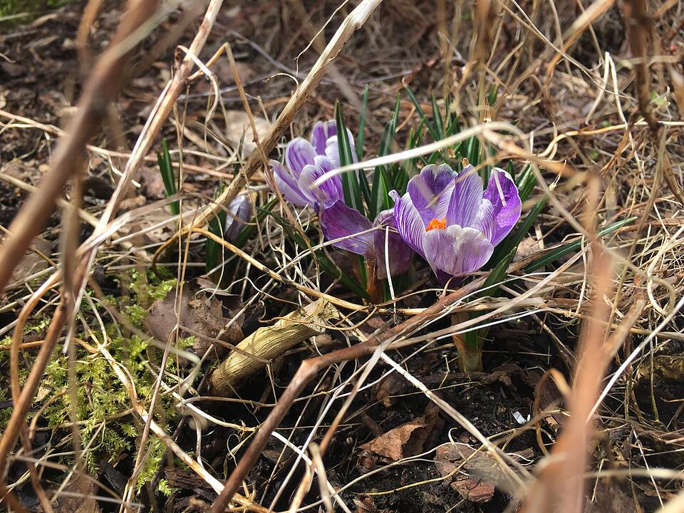 Die schönsten Frühlingsfotos aus Kronach und Umgebung