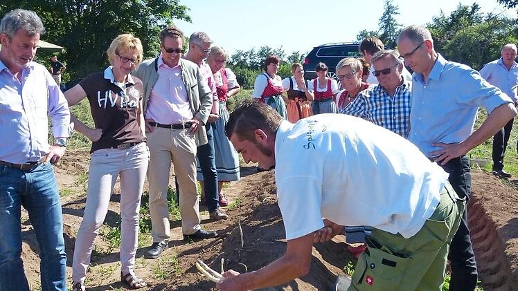 Die Bürgermeister waren am Spargelfeld gefordert.  Foto: P. Lindner