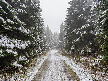 Erster Schnee in Franken: Bilder zeigen Winterlandschaft
