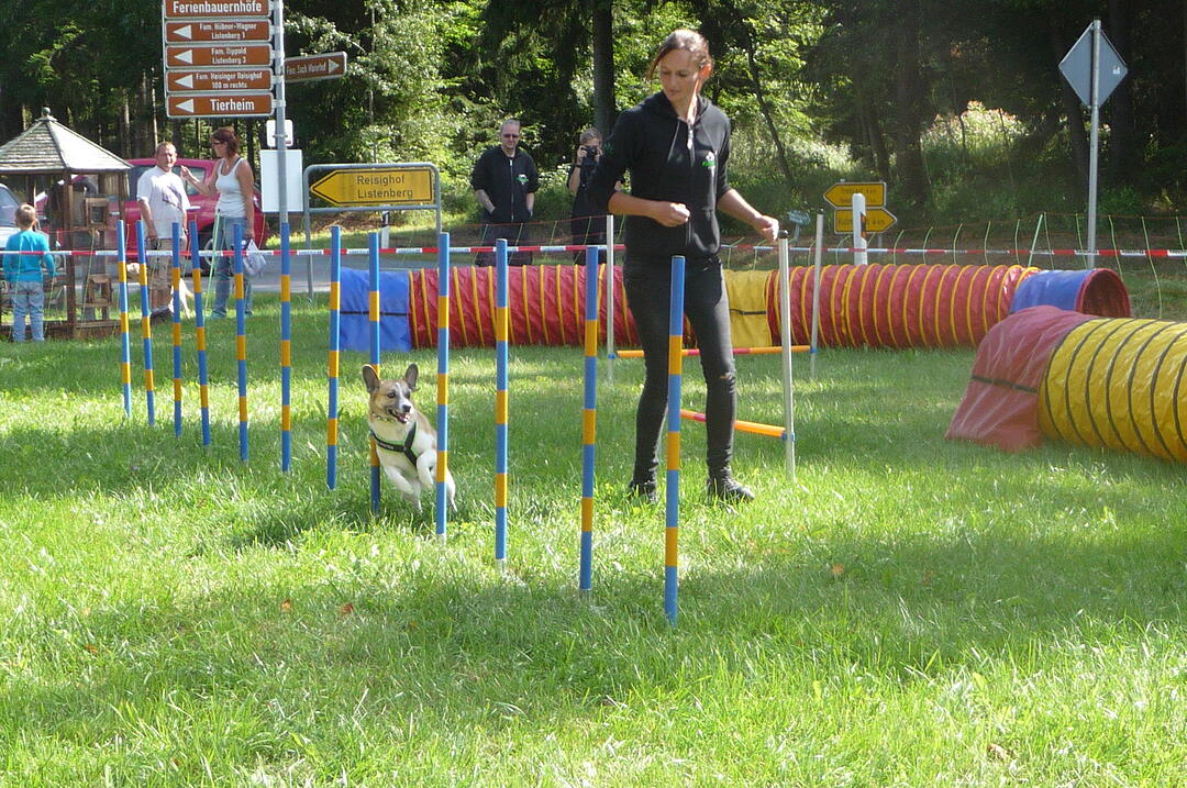 19.8.2017 Tierheimfest Kulmbach