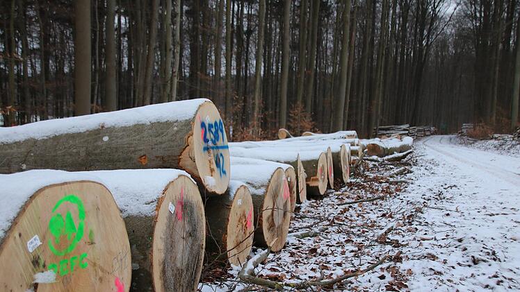 Eindrücke von den künftigen Windrad-Standorten im Sulzthaler Wald. Foto: Ralf Ruppert