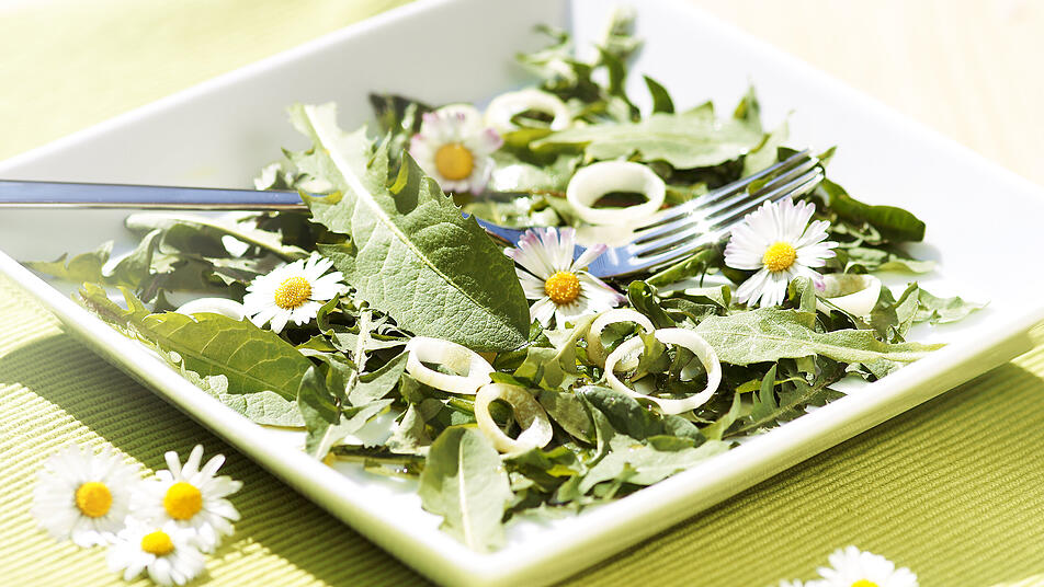 Bekannt aus dem Garten, l&auml;sst sich L&ouml;wenzahn auch zu einem leckeren Salat verarbeiten.