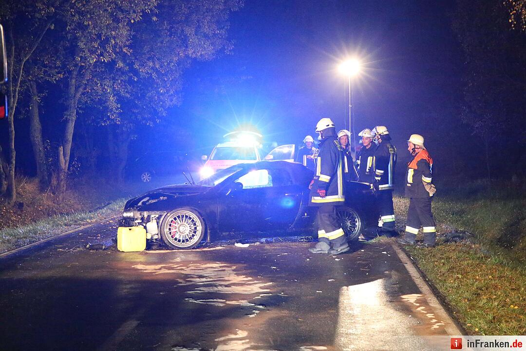 Alfa schleudert im Kreis Hof gegen Bäume