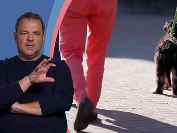 Welpe Nika hat beim Spaziergang in der Stadt noch gro&szlig;e Probleme - ein Anblick, der Martin R&uuml;tter Sorgen bereitet.