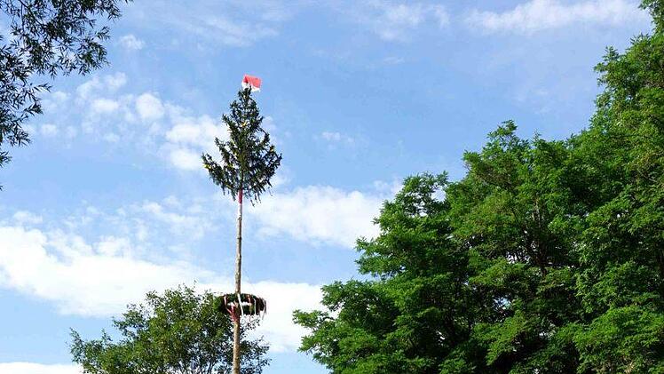 Mit vereinten Kräften wurde der Baum in die Senkrechte gebracht.