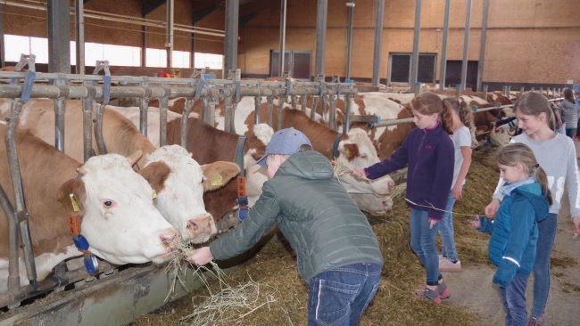 Für die Milchkühe im modernen Laufstall gab es Futter und jede Menge Streicheleinheiten.