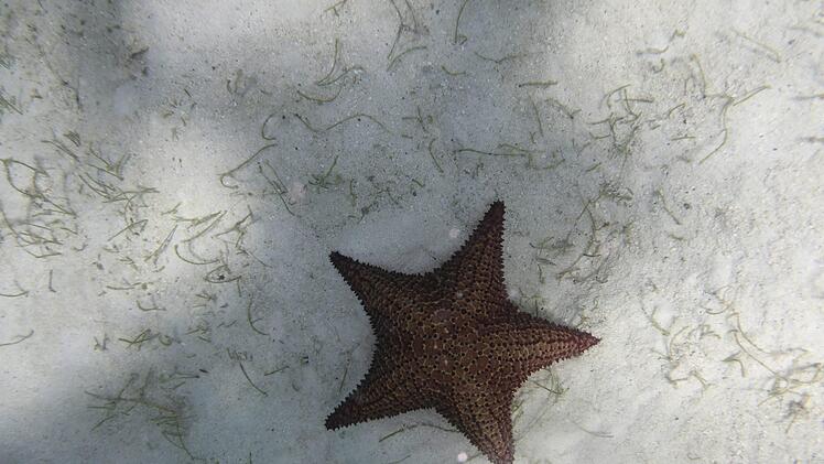 Ihr Beruf führt sie zu Traumzielen. Foto: Eunike Schu