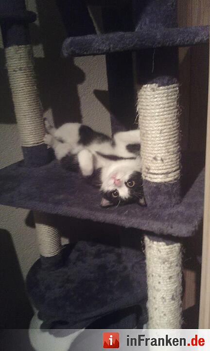 Foto: Manuela Gallert