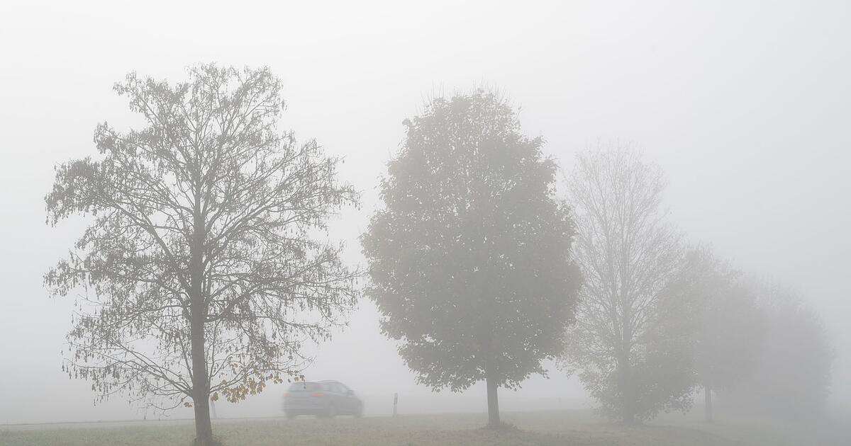 Auf-tristes-tr-bes-Wetter-folgt-etwas-mehr-Sonnenschein
