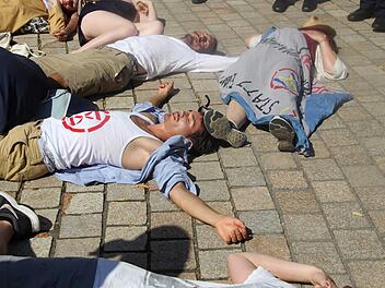 Am Rande der Eröffnung der Richard-Wagner-Festspiele in Bayreuth (Oberfranken) ist es zu einer Demonstration gekommen. Foto: Leopold Werner