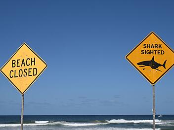 Tödlicher Hai-Angriff vor australischer Ostküste