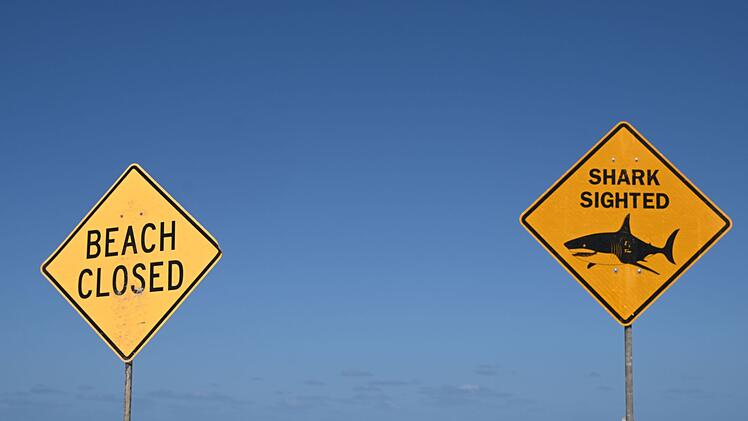 Tödlicher Hai-Angriff vor australischer Ostküste