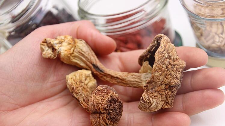 Getrocknete Mandelpilze (Agaricus blazei murill) gehören zu Anja Fahrmeiers Superfood.