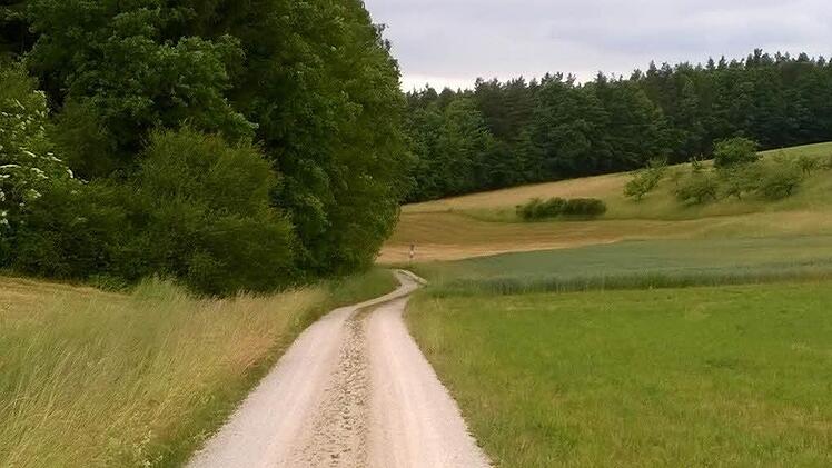 Foto: Manfred Sperber